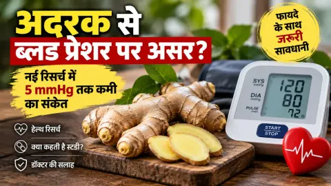 अदरक सिर्फ चाय का स्वाद नहीं, Blood Pressure पर भी असर? नई रिसर्च में 5 mmHg तक कमी का संकेत; लेकिन डॉक्टरों की ये चेतावनी जरूरी