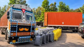 MP में 4.2 टन से ज्यादा डोडा चूरा जब्त: गेहूं की बोरियों के नीचे छिपाकर ले जा रहे थे, 3 गिरफ्तार; दो ट्रक जब्त