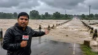 मध्य प्रदेश में भारी बारिश का अलर्ट: सीधी में 104 करोड़ की सड़क बही, 14 जिलों में तेज बारिश की चेतावनी; नर्मदा का जलस्तर बढ़ा