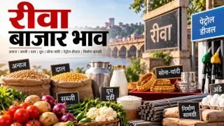 रीवा बाजार भाव: 17 सितंबर को गेहूं से लेकर सब्जियों और सोना-चांदी तक के ताजा रेट, पेट्रोल-डीजल भी जानें
