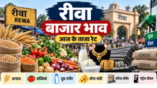 रीवा बाजार भाव 21 सितंबर 2026: गेहूं-चना से लेकर सब्जियों, सोना-चांदी और पेट्रोल तक के रेट; देखें पूरी सूची