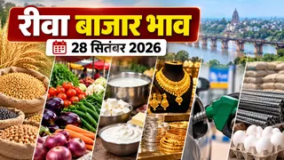 रीवा बाजार भाव 28 सितंबर 2026: गेहूं-चना से सब्जियों और सोना-चांदी तक के आज के रेट