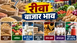 रीवा बाजार भाव, 24 सितंबर 2026 : गेहूं 2312-2699 रुपए क्विंटल, सरसों 6900-6971; सोना-चांदी से सब्जियों तक के दाम