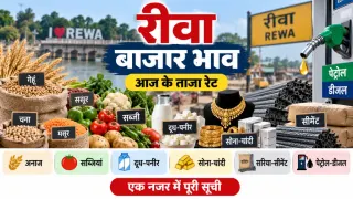 रीवा बाजार भाव 20 सितंबर, 2026: गेहूं-चना से लेकर सब्जियों, सोना-चांदी और पेट्रोल तक के रेट; देखें पूरी सूची