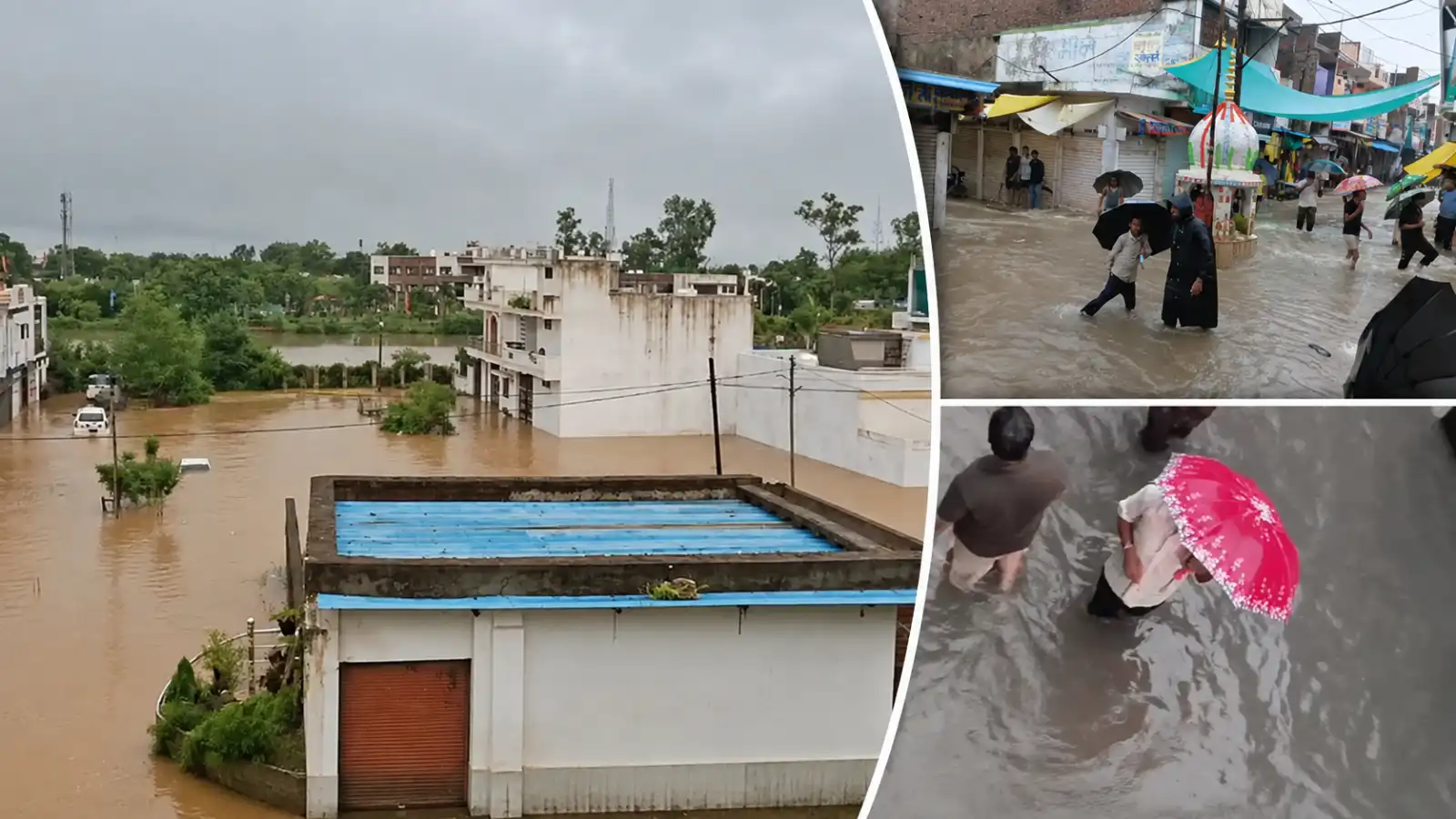 रीवा में लगातार बारिश से बाढ़ जैसे हालात: शहर से लेकर गांव तक सड़कें जलमग्न, घरों-दुकानों में घुसा 3 फीट तक पानी