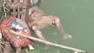 रीवा में लापता युवक का नहर में मिला शव: हत्या की आशंका, 2 संदिग्ध हिरासत में; परिजनों ने 3 लोगों पर लगाए आरोप