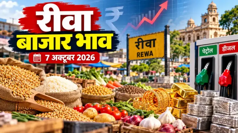 रीवा बाजार भाव 7 अक्टूबर 2026: गेहूं से सब्जियों तक के रेट; सोना ₹1.51 लाख, पेट्रोल ₹116.05