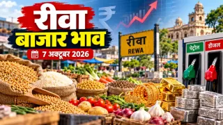 रीवा बाजार भाव 7 अक्टूबर 2026: गेहूं से सब्जियों तक के रेट; सोना ₹1.51 लाख, पेट्रोल ₹116.05