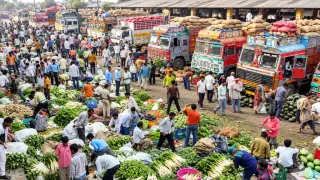 सब्जियों के दामों में फिर उछाल: भिंडी-परवल-बरबटी-मिर्ची 60 रुपए किलो, लोकल आवक कमजोर होने से हरी सब्जियों दाम बढ़ें