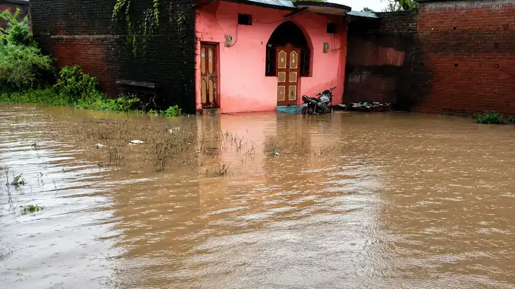 सतना में कई इलाकों में बाढ़ जैसे हालात: कई इलाकों में घरों तक पहुंचा कमरभर पानी, अगले 5 दिन बारिश का अलर्ट